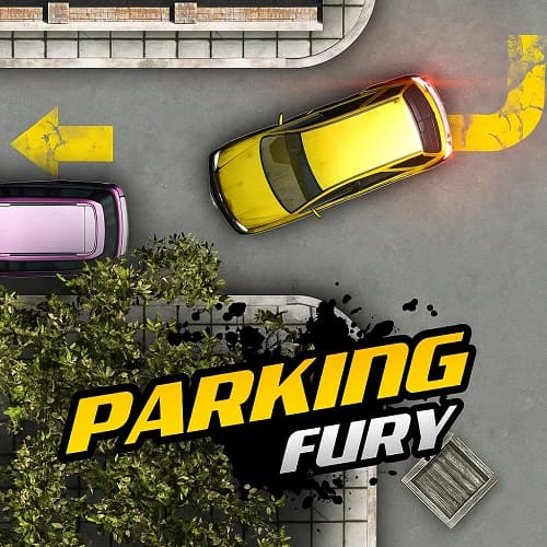 Parking Fury